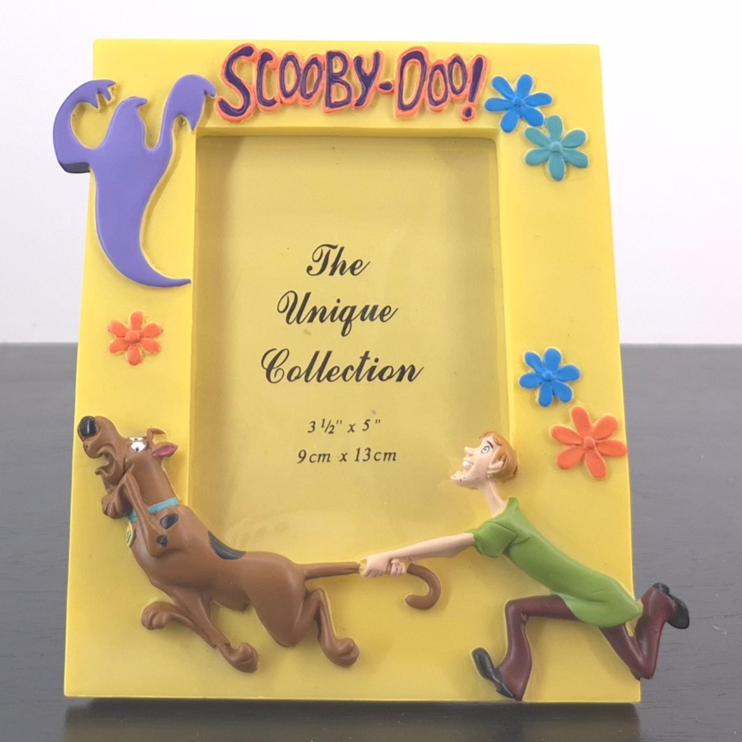 Collectible Scooby-Doo Picture Frame - Scooby-Doo picture frame with Shaggy and colourful flower details